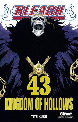 Bleach. Vol. 43. Kingdom of hollows