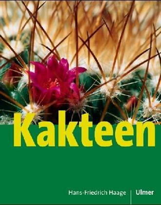 Kakteen