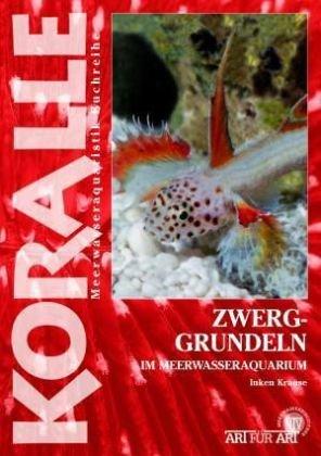 Zwerggrundeln: im Meerwasseraquarium