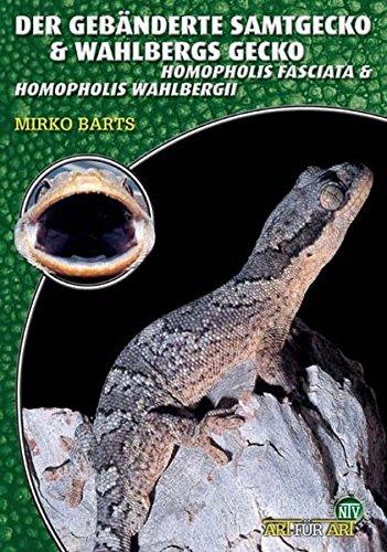 Der gebänderte Samtgecko & Wahlbergs Gecko: Homopholis Fasciata & Homopholis Wahlbergi (Art für Art)