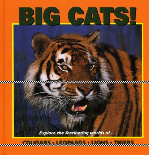 Big Cats: Exploring the Fascinating World of Tigers, Lions, Cougars and Leopards (Our Wild World Series)