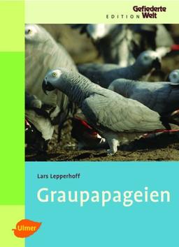 Graupapageien