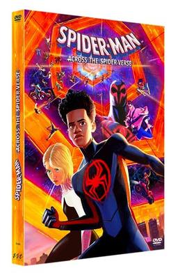 Spider-man : across the spider-verse [FR Import]