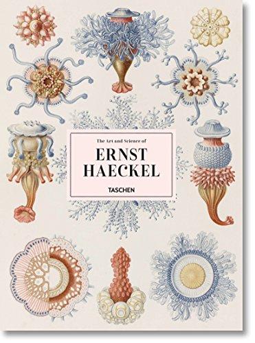 The art and science of Ernst Haeckel