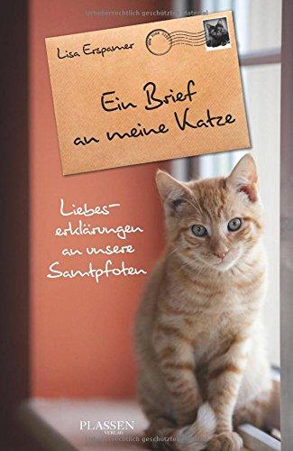 Ein Brief an meine Katze: Liebeserklärungen an unsere Samtpfoten