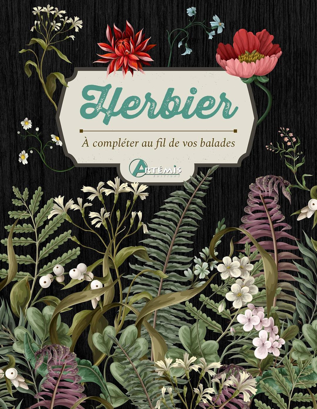 Herbier : à compléter au fil de vos balades