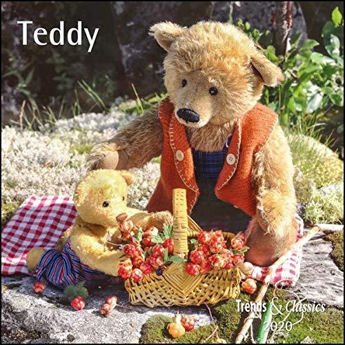 Teddy 2023 - Broschürenkalender 30x30 cm (30x60 geöffnet) - Kalender mit Platz für Notizen - Bildkalender - Wandkalender - mit herausnehmbarem Poster