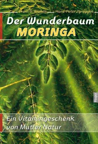 Der Wunderbaum Moringa: Ein Vitamingeschenk von Mutter Natur