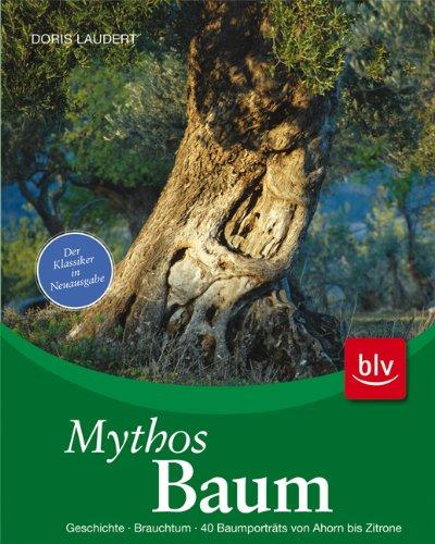 Mythos Baum: Geschichte · Brauchtum · 40 Baumporträts von Ahorn bis Zitrone. Der Klassiker in Neuausgabe