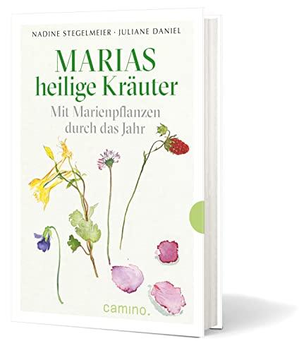 Marias heilige Kräuter - Mit Marienpflanzen durch das Jahr