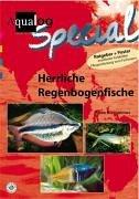 Aqualog, Herrliche Regenbogenfische