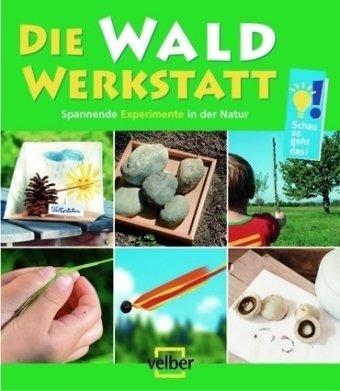 Die Wald-Werkstatt: Spannende Experimente in der Natur