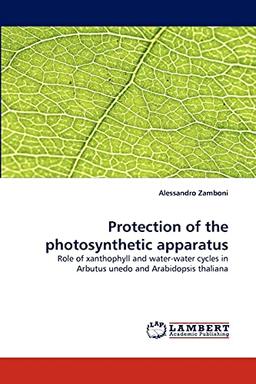 Protection of the photosynthetic apparatus: Role of xanthophyll and water-water cycles in Arbutus unedo and Arabidopsis thaliana