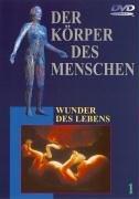 Der Körper des Menschen. Paket: Der Körper des Menschen 1. DVD-Video: Wunder des Lebens: Tl 1