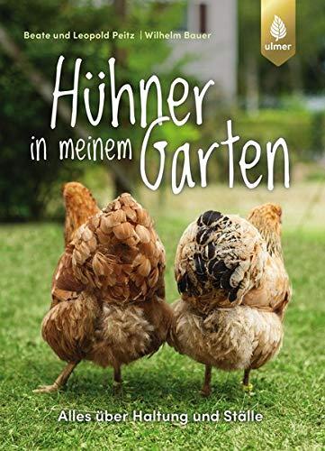 Hühner in meinem Garten: Alles über Haltung und Ställe