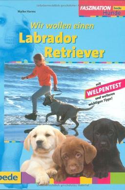 Labrador Retriever, Wir wollen einen: Mit Welpentest und weiteren wichtigen Tipps!