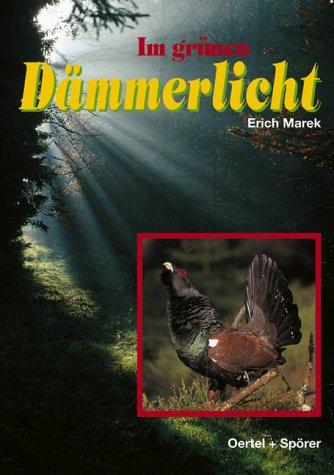 Im grünen Dämmerlicht