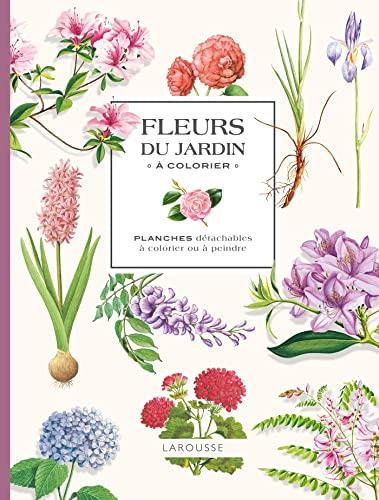 Fleurs du jardin à colorier : planches détachables à colorier ou à peindre