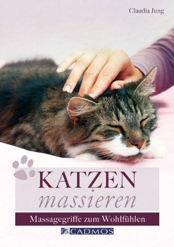 Katzen massieren: Massagegriffe zum Wohlfühlen