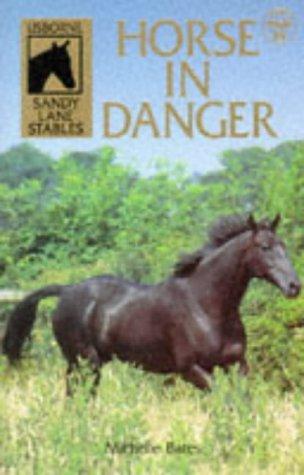 Horse in Danger (Sandy Lane Stables)