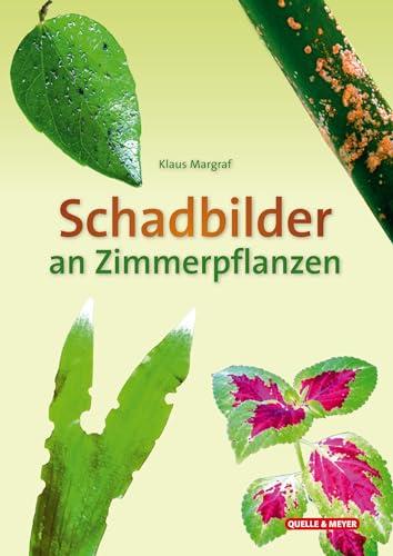 Schadbilder an Zimmerpflanzen (Quelle & Meyer Bestimmungskarten)