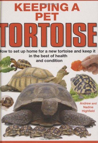 Keeping a Pet Tortoise