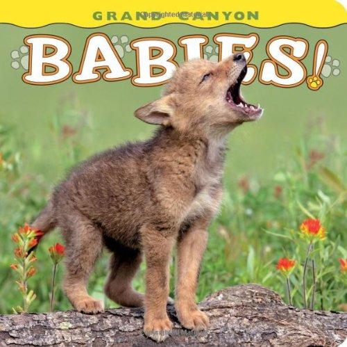 Grand Canyon Babies! (Babies! Animal)