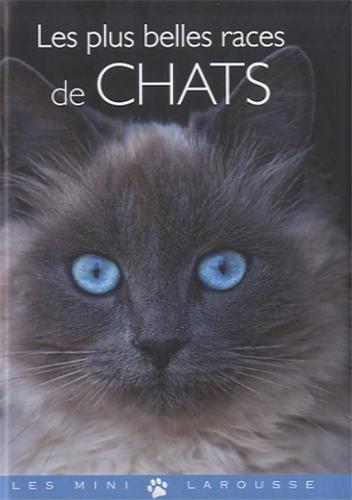 Les plus belles races de chats