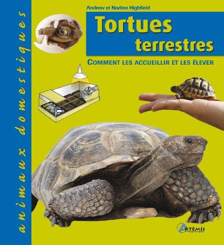 Tortues terrestres : comment les accueillir et les élever