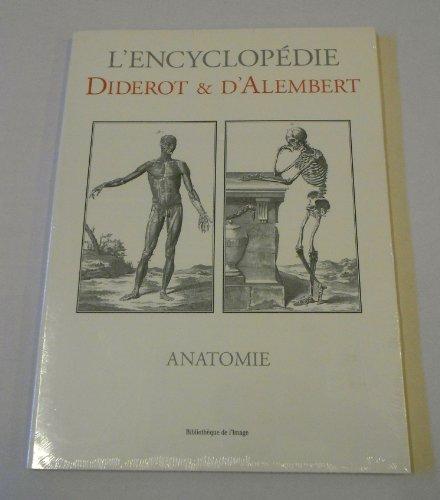 Anatomie