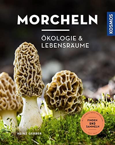 Morcheln: Ökologie und Lebensräume