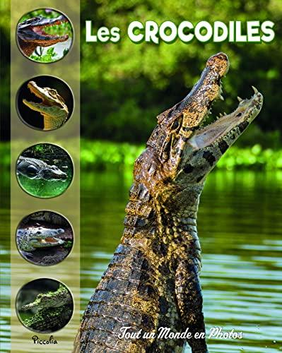 Les crocodiles et autres crocodiliens