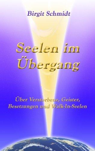 Seelen im Übergang: Über Verstorbene, Geister, Besetzungen und Walk-In-Seelen