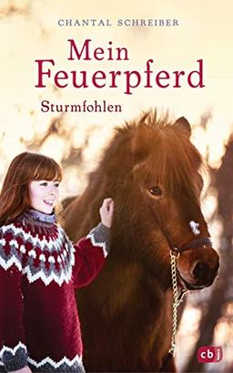 Mein Feuerpferd - Sturmfohlen (Die Mein Feuerpferd-Reihe, Band 2)