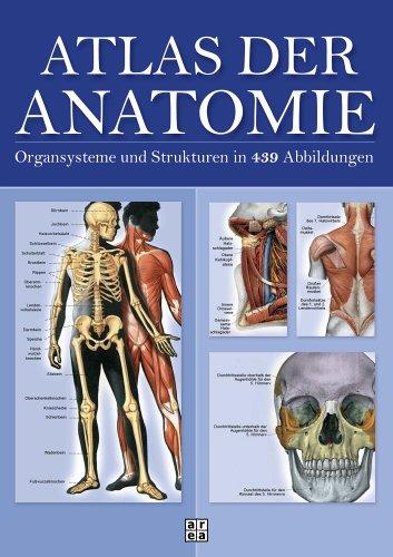 Atlas der Anatomie. Organsystem und Strukturen in 439 Abbildungen