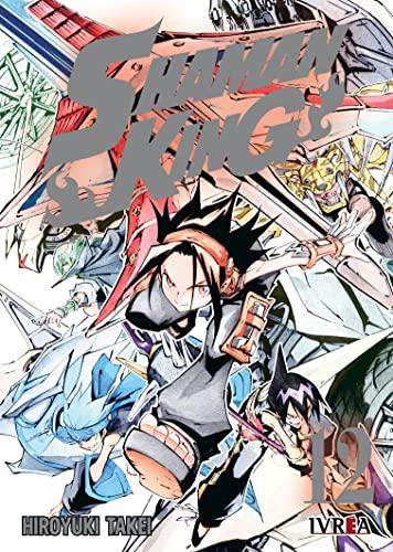 Shaman King 12