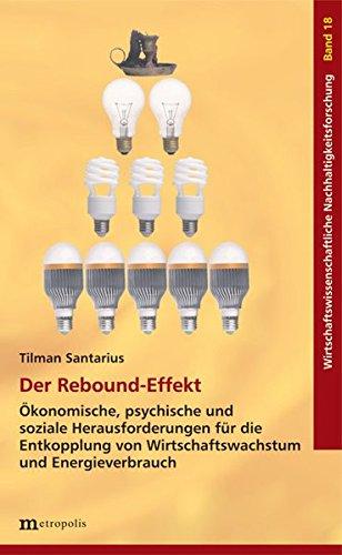 Der Rebound-Effekt: Ökonomische, psychische und soziale Herausforderungen für die Entkopplung von Wirtschaftswachstum und Energieverbrauch (Wirtschaftswissenschaftliche Nachhaltigkeitsforschung)