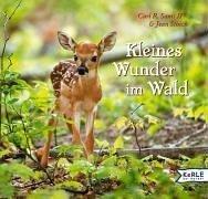 Kleines Wunder im Wald: Ein fotografisches Märchen