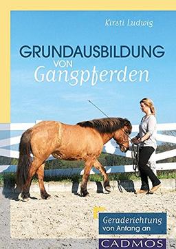 Grundausbildung von Gangpferden: Gerade richten von Anfang an