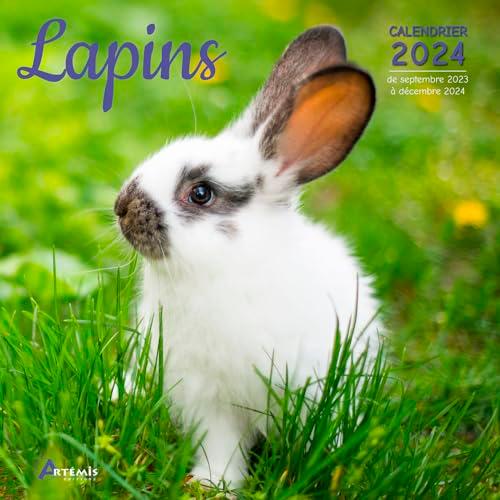 Lapins : calendrier 2024 : de septembre 2023 à décembre 2024