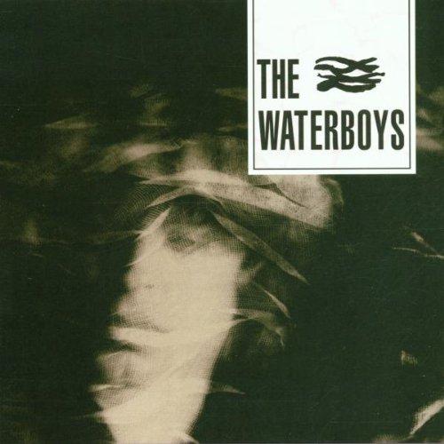 The Waterboys