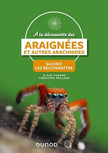 A la découverte des araignées et autres arachnides : sachez les reconnaître