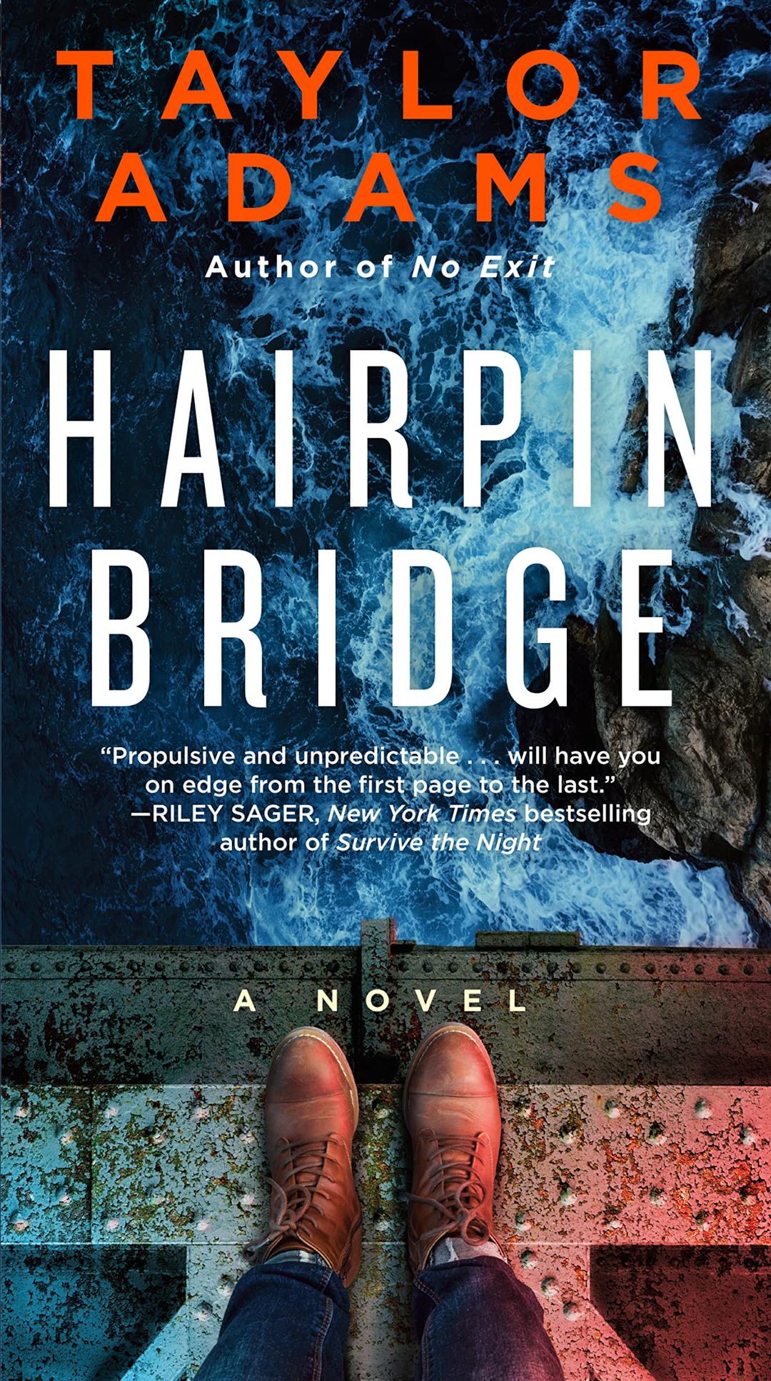 Hairpin Bridge: A Novel