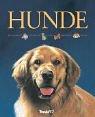 Hunde