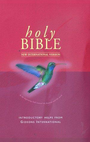 Bible: New International Version (Bible Niv)