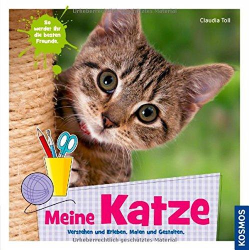 Meine Katze