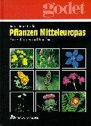 Pflanzen Mitteleuropas: Farne, Kräuter und Stauden