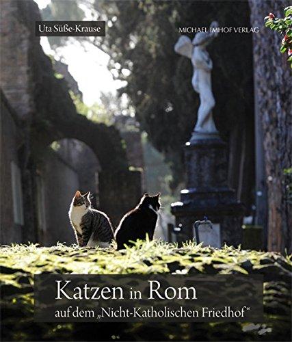 Katzen in Rom auf dem Cimitero Acattolico / Cats in Rome at the Cimitero Acattolico / Gatti di Roma al Cimitero Acattolico