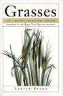 Grasses: An Identification Guide (Peterson Nature Library)