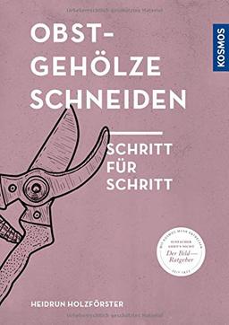 Obstgehölze schneiden: Schritt für Schritt